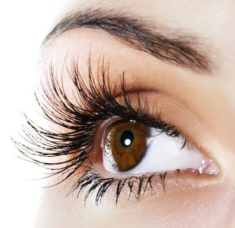 Nahaufnahme eines braunen Auges mit langen, geschwungenen Wimpern und einer dunklen Augenbraue.