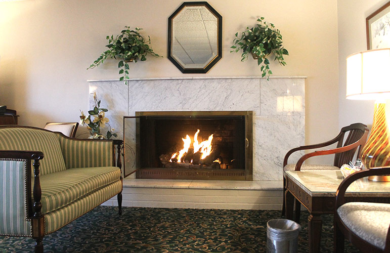 Living room with a lit fireplace, striped sofa, chairs, plants, and a floor lamp