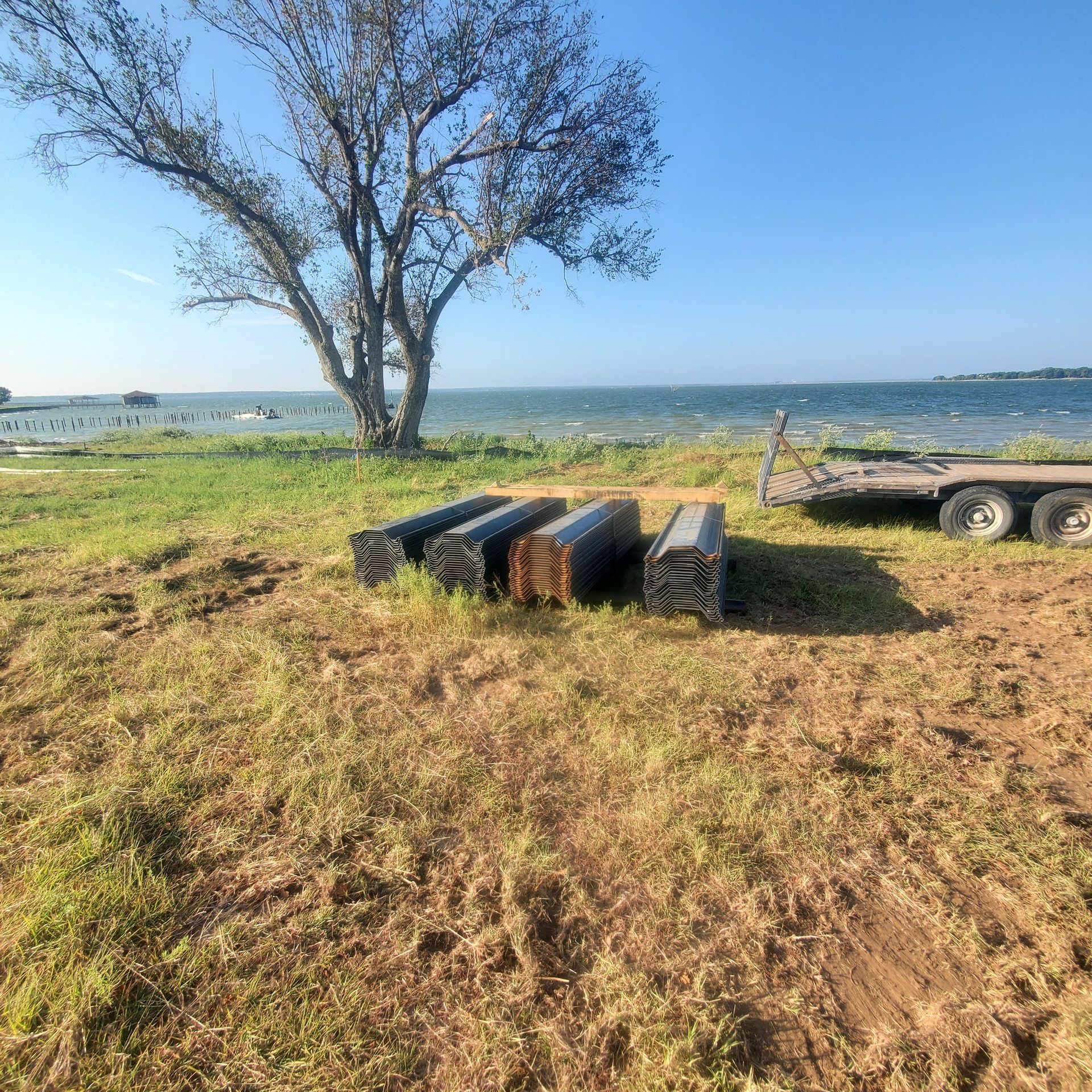 A tree beside colorful buoys and a trailer on a grassy shore overlooking the water under a blue sky
