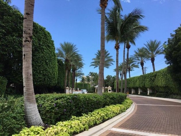 Curved brick walkway lined with palm trees and manicured hedges under a bright blue sky