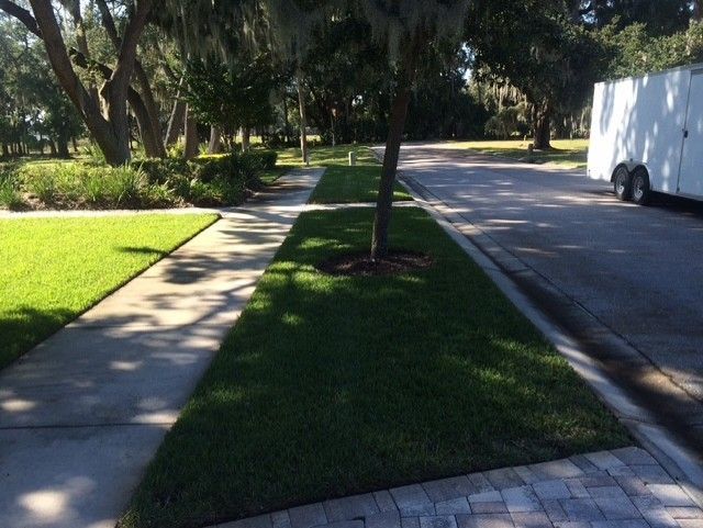 Tree-lined sidewalk and road beside a grassy median, with a white truck parked on the right.