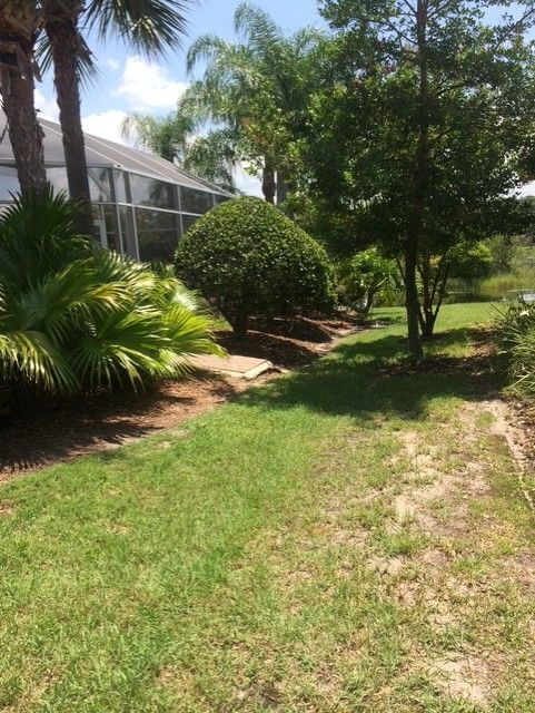 Sunny suburban yard with green grass, shrubs, and a house beside a dirt path Sunny suburban yard with green grass, shrubs, and a house beside a dirt path