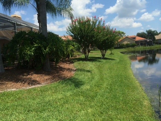 Lush backyard lawn beside a pond, with palm trees, shrubs, and houses under a partly cloudy sky Lush backyard lawn beside a pond, with palm trees, shrubs, and houses under a partly cloudy sky