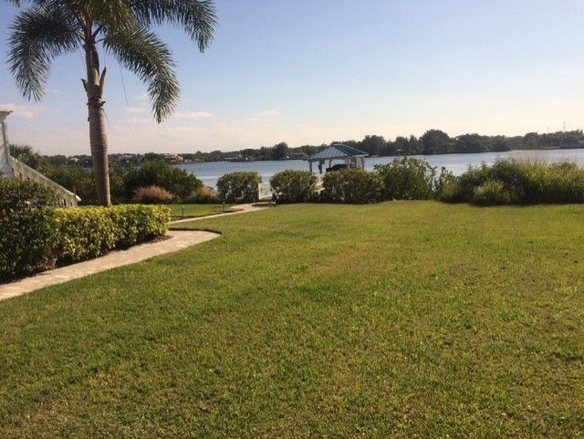 Lush lawn, palm trees, and shrubs beside a calm waterfront under a clear sky.