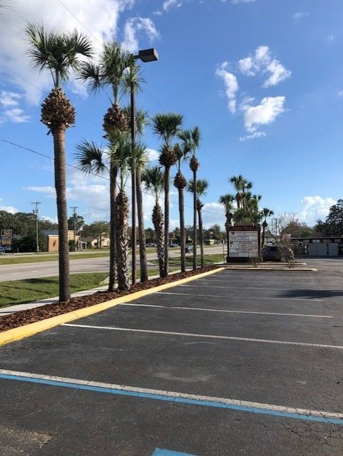 Empty parking lot with palm trees, blue sky, and road signs along the edge