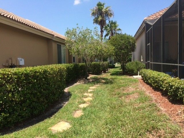 Narrow grassy path between houses with hedges, stepping stones, and a palm tree under a bright blue sky Narrow grassy path between houses with hedges, stepping stones, and a palm tree under a bright blue sky