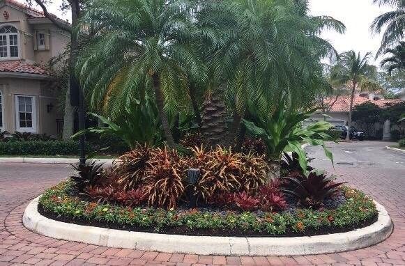 Circular palm-filled garden island in a residential driveway, surrounded by brick pavers and houses.