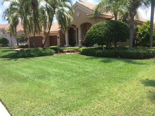 Sunlit suburban house with arched entry, palm trees, and a neatly trimmed green lawn Sunlit suburban house with arched entry, palm trees, and a neatly trimmed green lawn