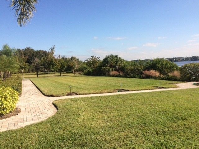 Grassy park by a paved path, with trees, shrubs, and water under a clear blue sky