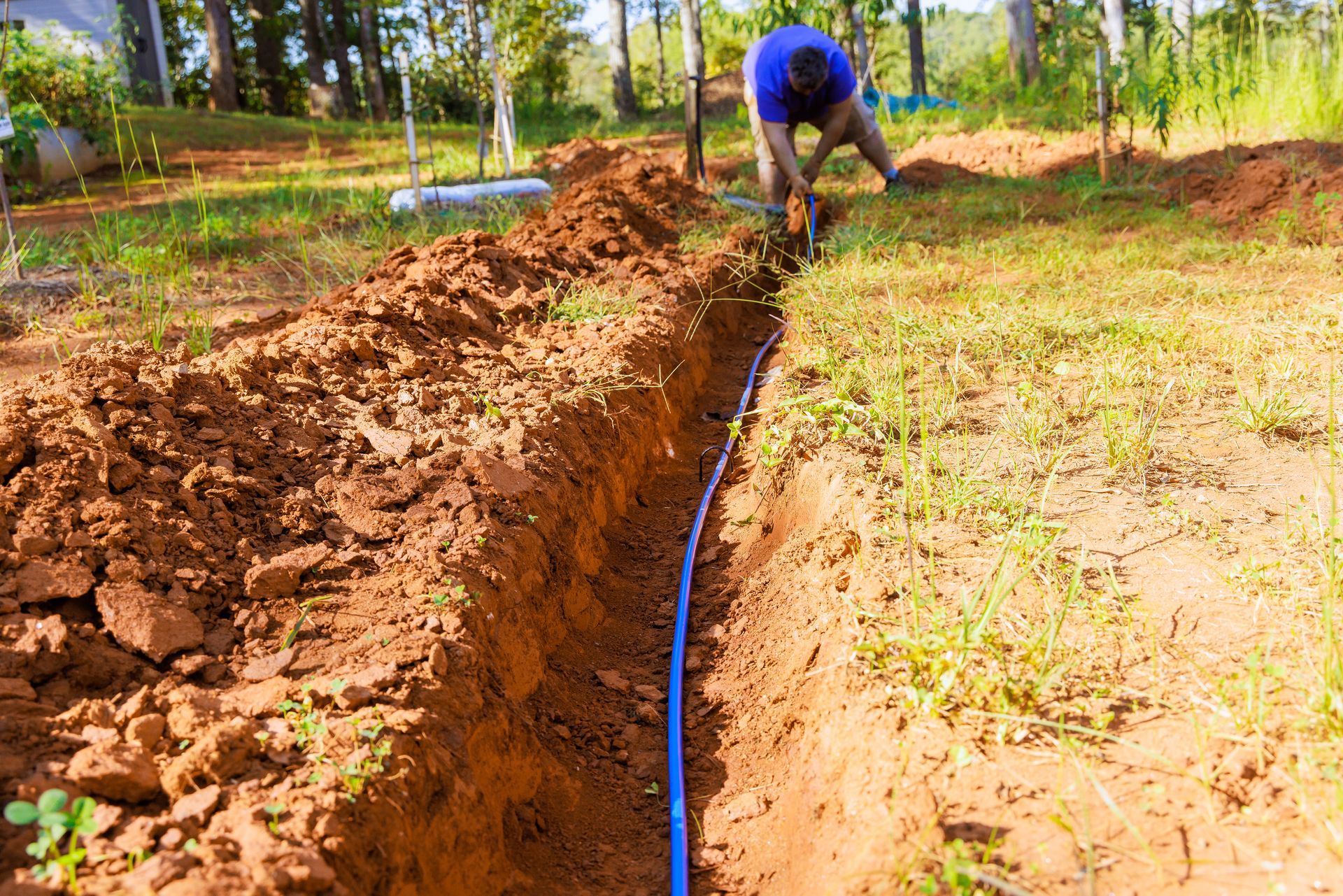 Sprinkler heads and irrigation components along a landscaped lawn during an inspection