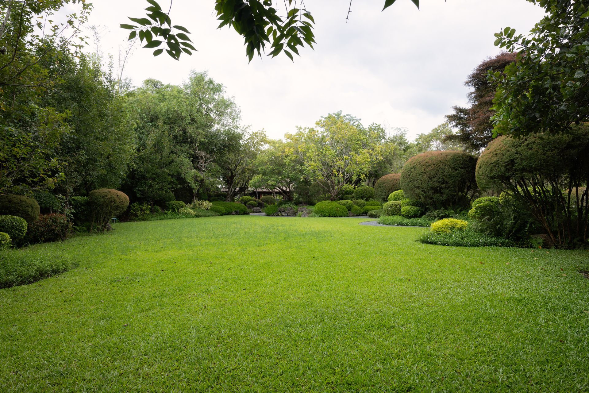 Lush green garden lawn with trees, shrubs, and cloudy sky in the background