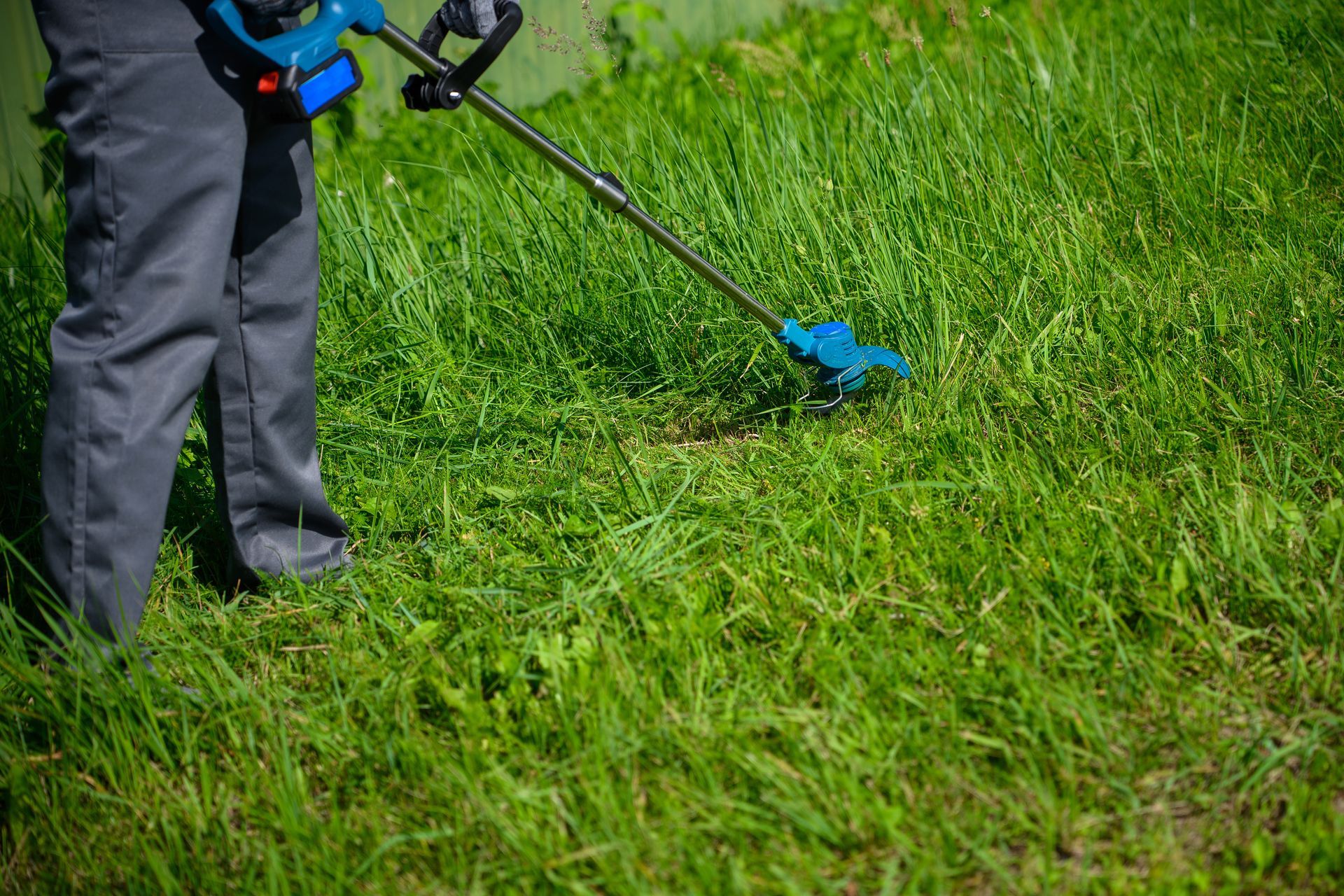Person using a blue string trimmer to cut grass in a green yard