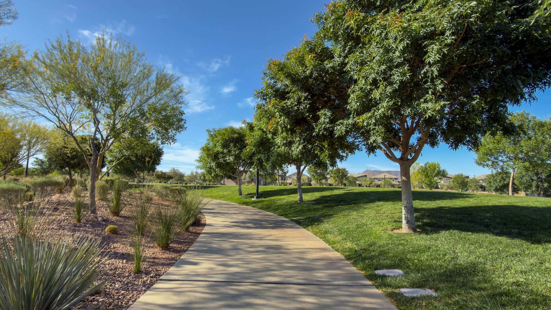 Curved concrete path through a green park with trees under a blue sky Curved concrete path through a green park with trees under a blue sky