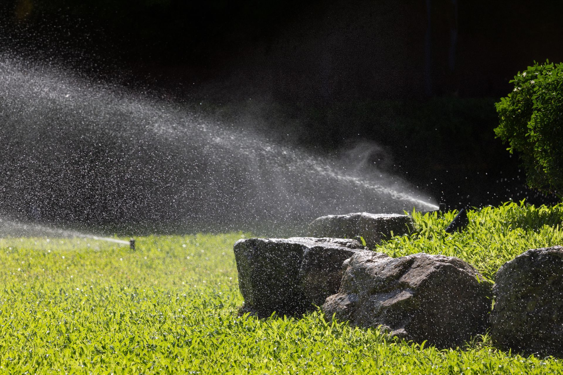 Green Scene Lawn and Landscape team caring for a commercial property in Holiday, FL