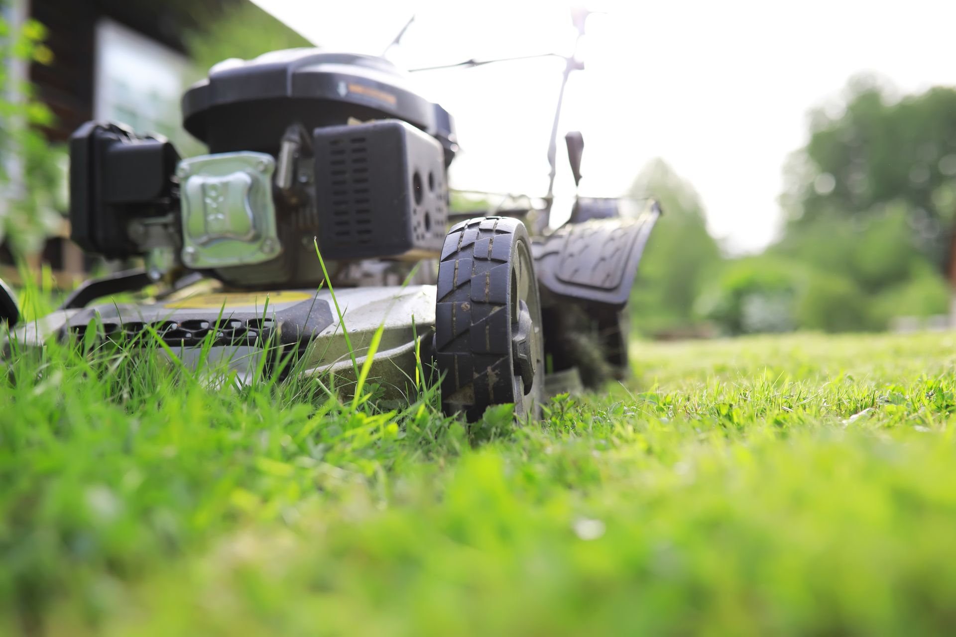 Lawn mower cutting green grass in a sunny garden, low-angle close-up view Lawn mower cutting green grass in a sunny garden, low-angle close-up view