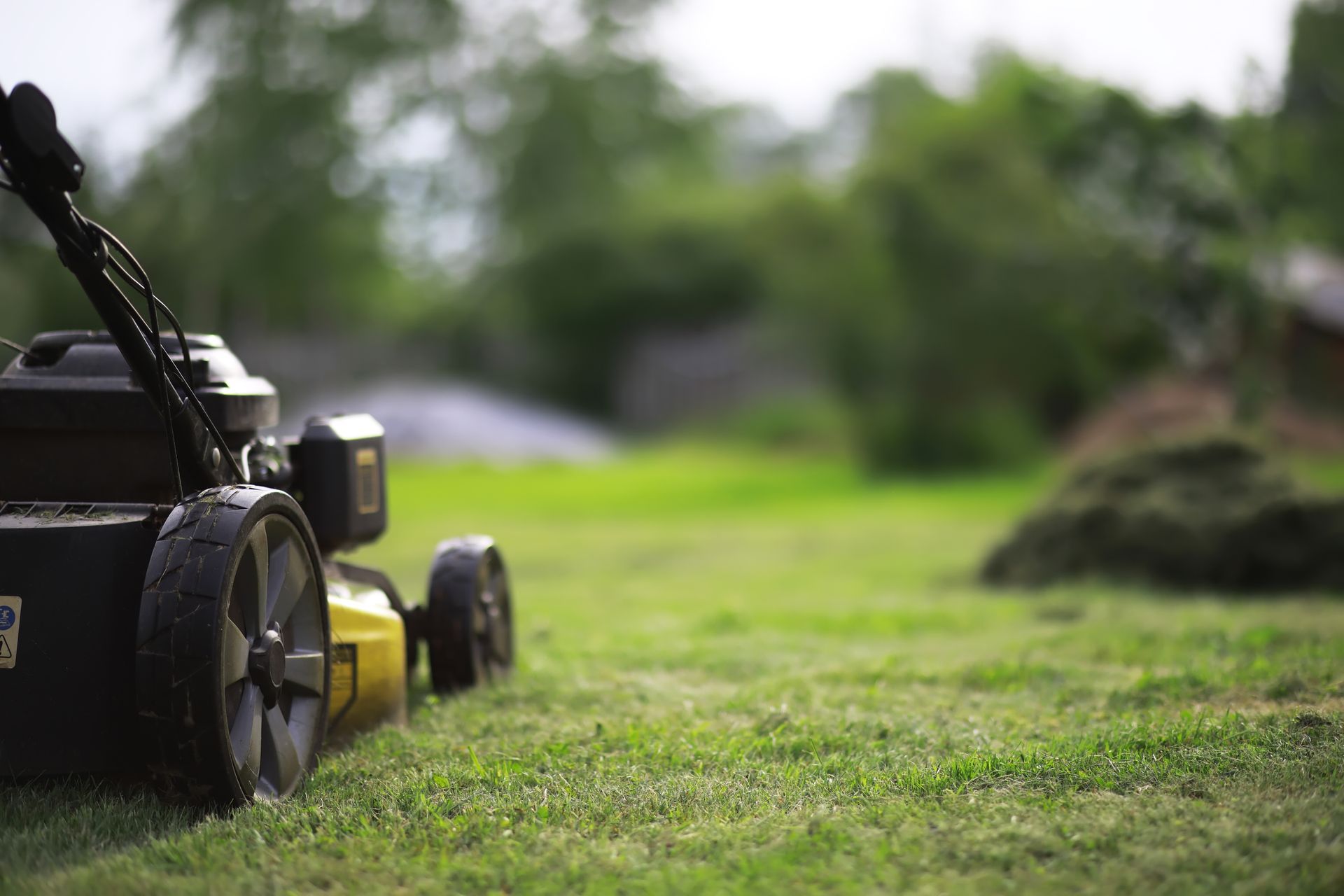 Lawn mower cutting grass in a green yard