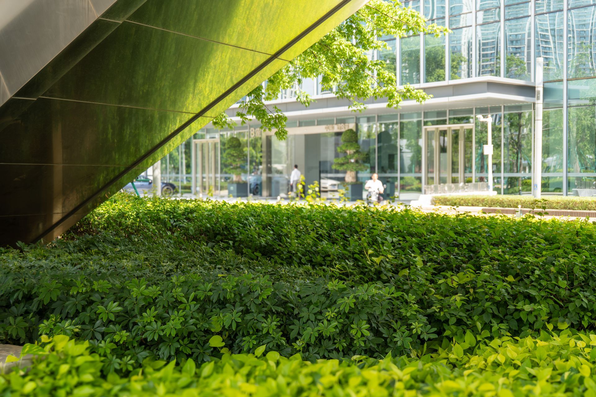 Modern glass building behind lush green shrubs and a slanted metal overhang Modern glass building behind lush green shrubs and a slanted metal overhang