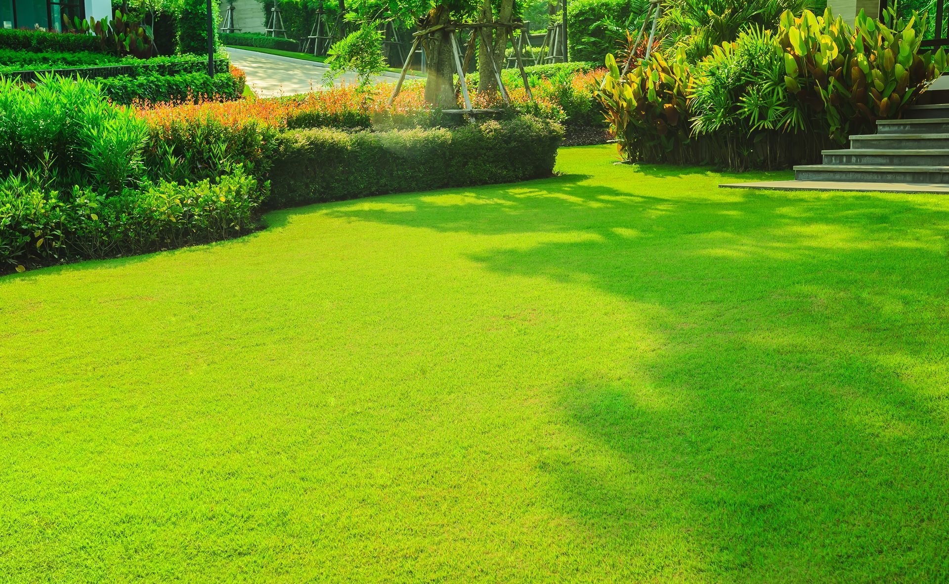 Sunny green garden lawn with trimmed hedges and stone steps on the right Sunny green garden lawn with trimmed hedges and stone steps on the right