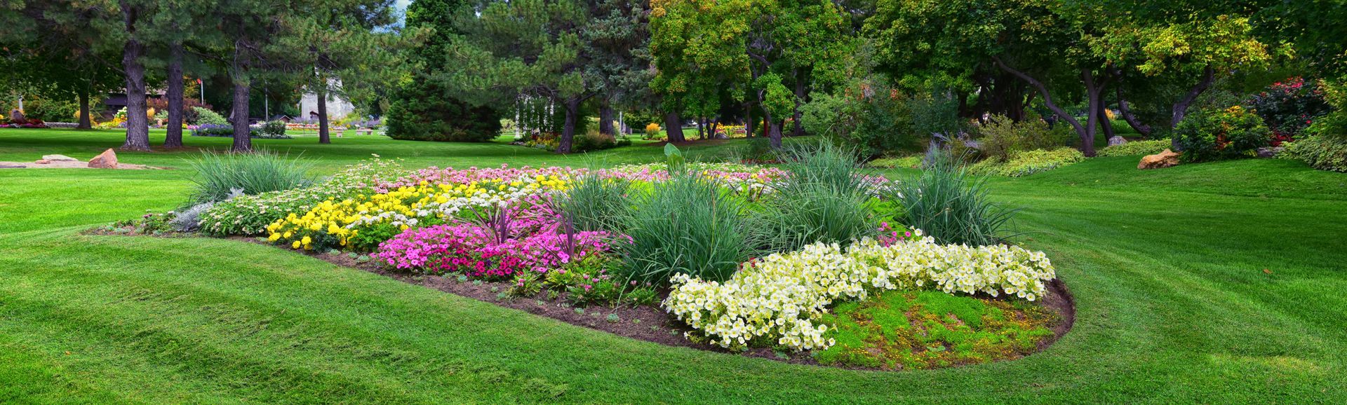 Colorful flower bed in a lush green park with trees and grass Colorful flower bed in a lush green park with trees and grass