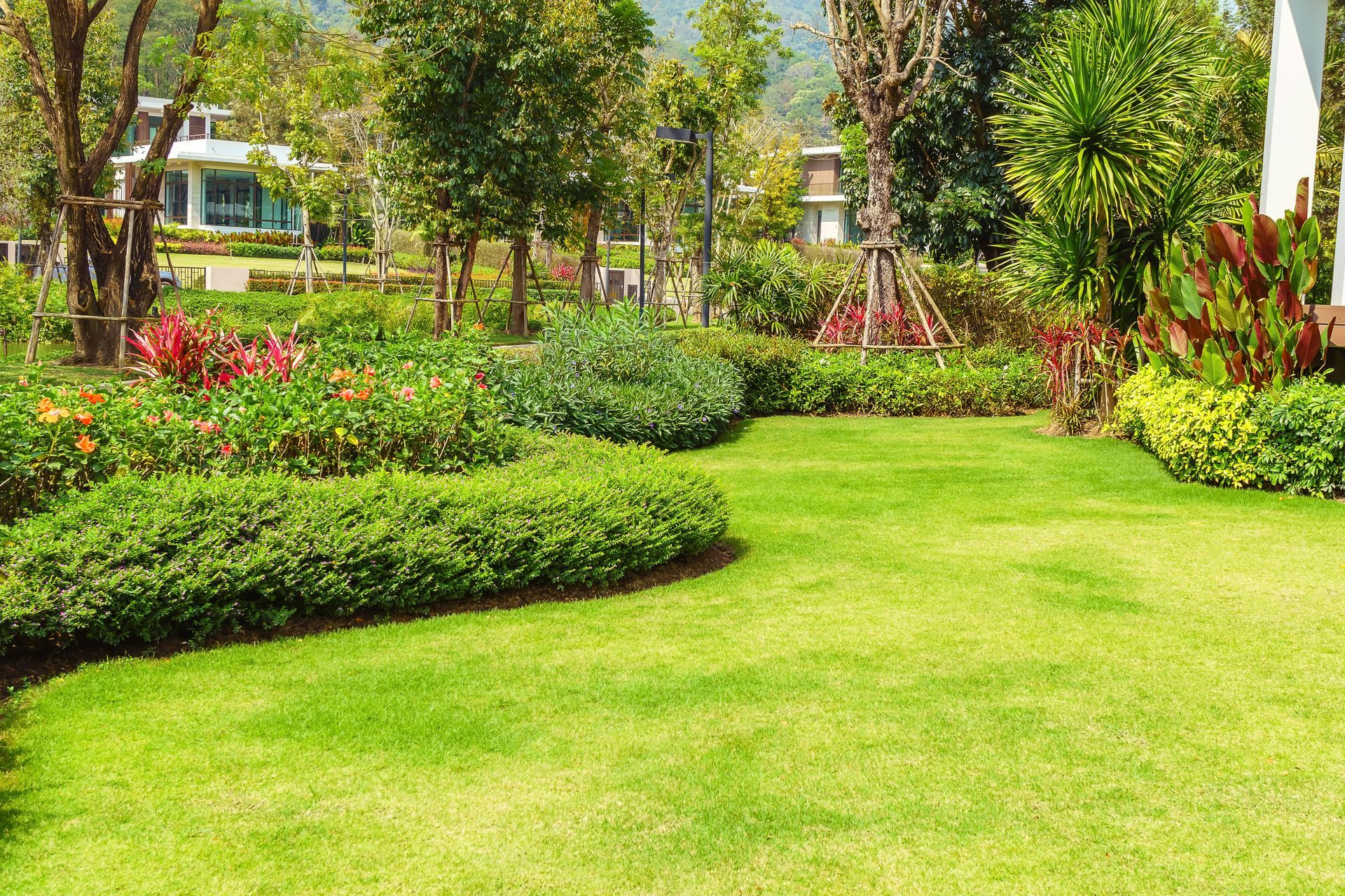 Lush green garden with manicured shrubs, flowering plants, and trees in bright sunlight Lush green garden with manicured shrubs, flowering plants, and trees in bright sunlight