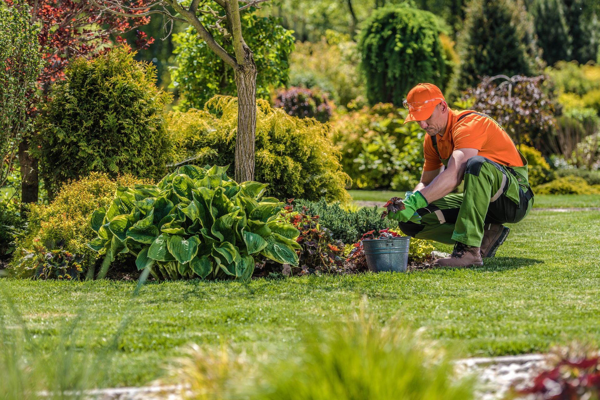 Gardener in orange shirt kneeling in a lush garden, tending plants with a bucket nearby