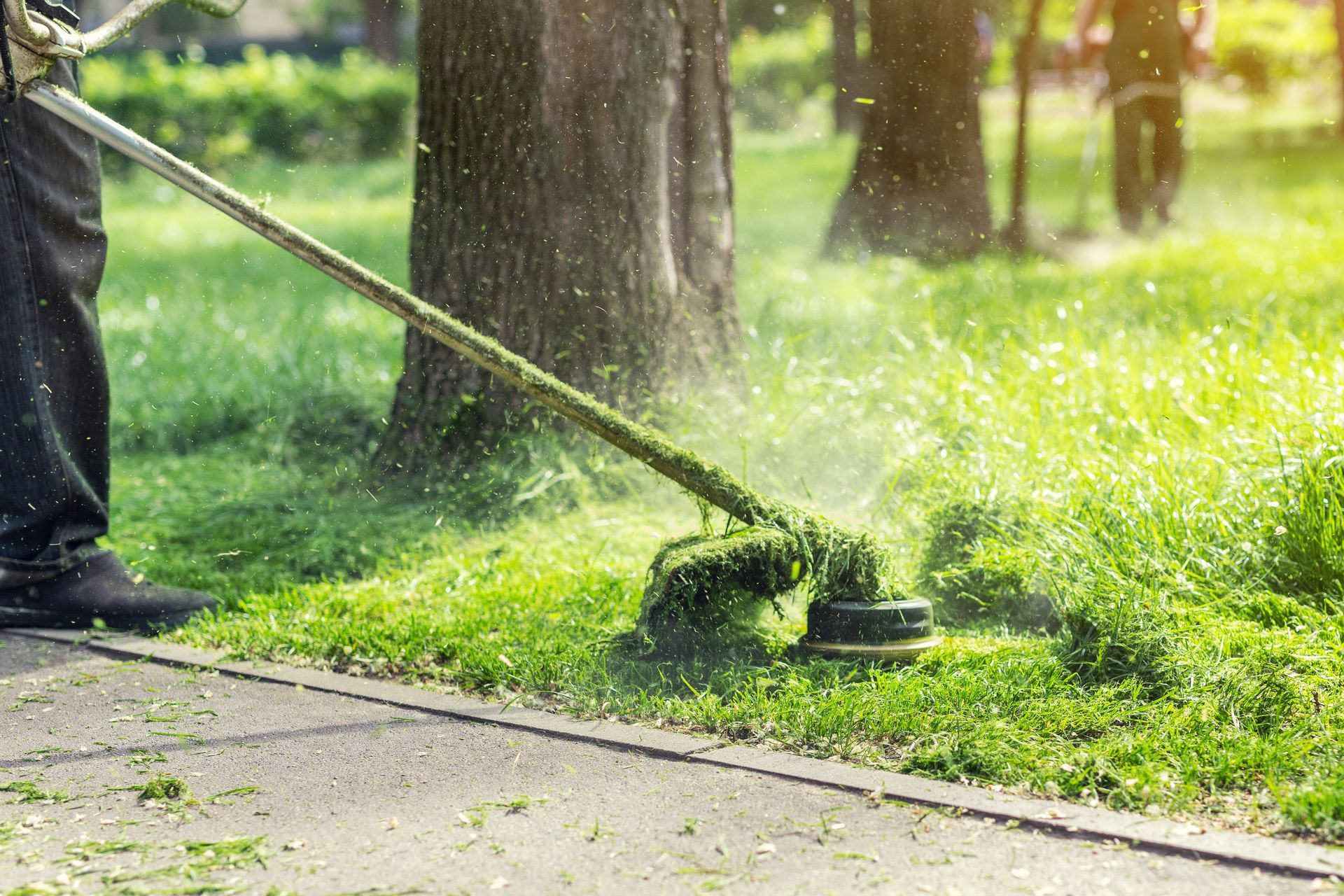 Person using a string trimmer to cut grass along a sidewalk in a sunny park