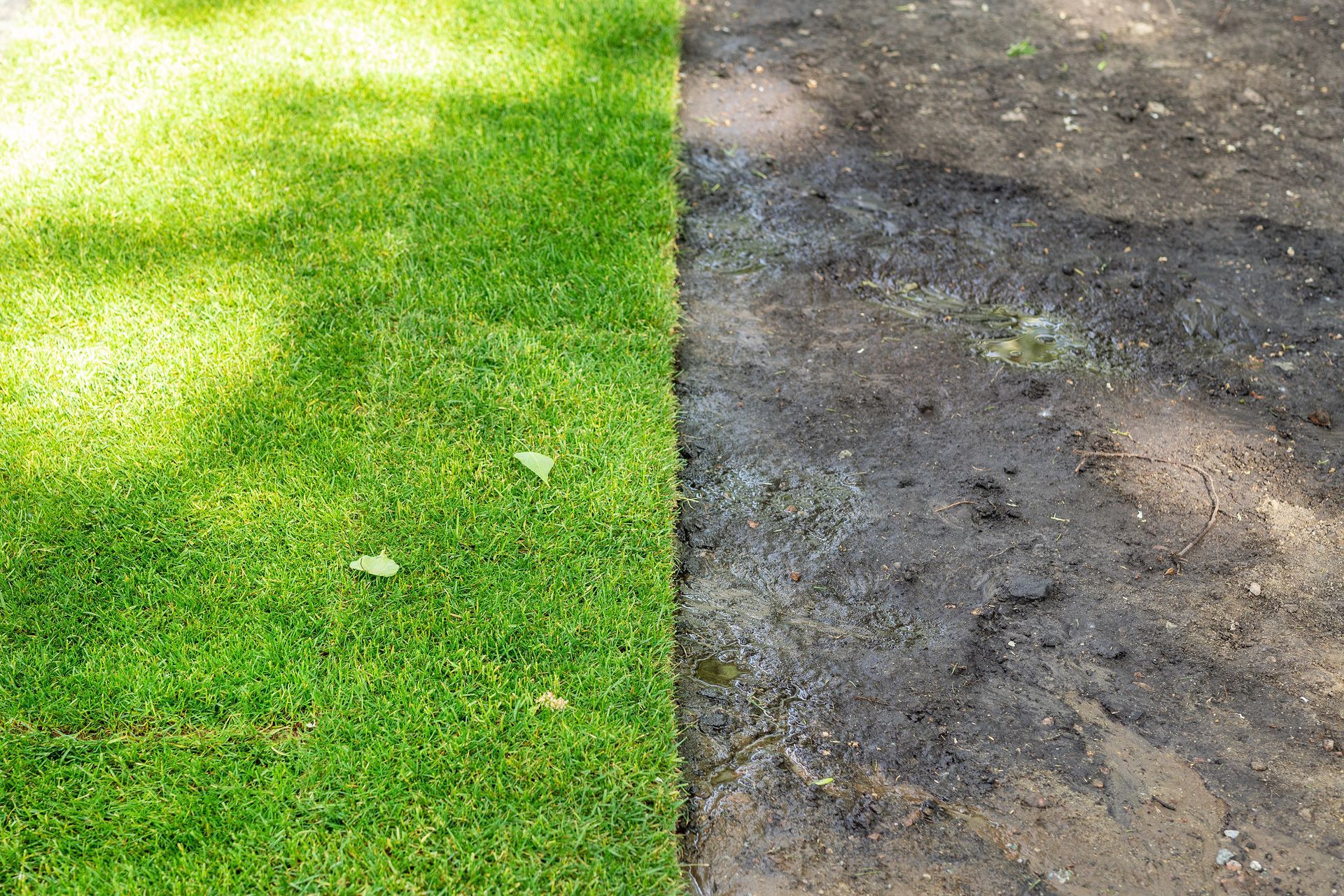 Split view of green grass and muddy dirt ground Split view of green grass and muddy dirt ground