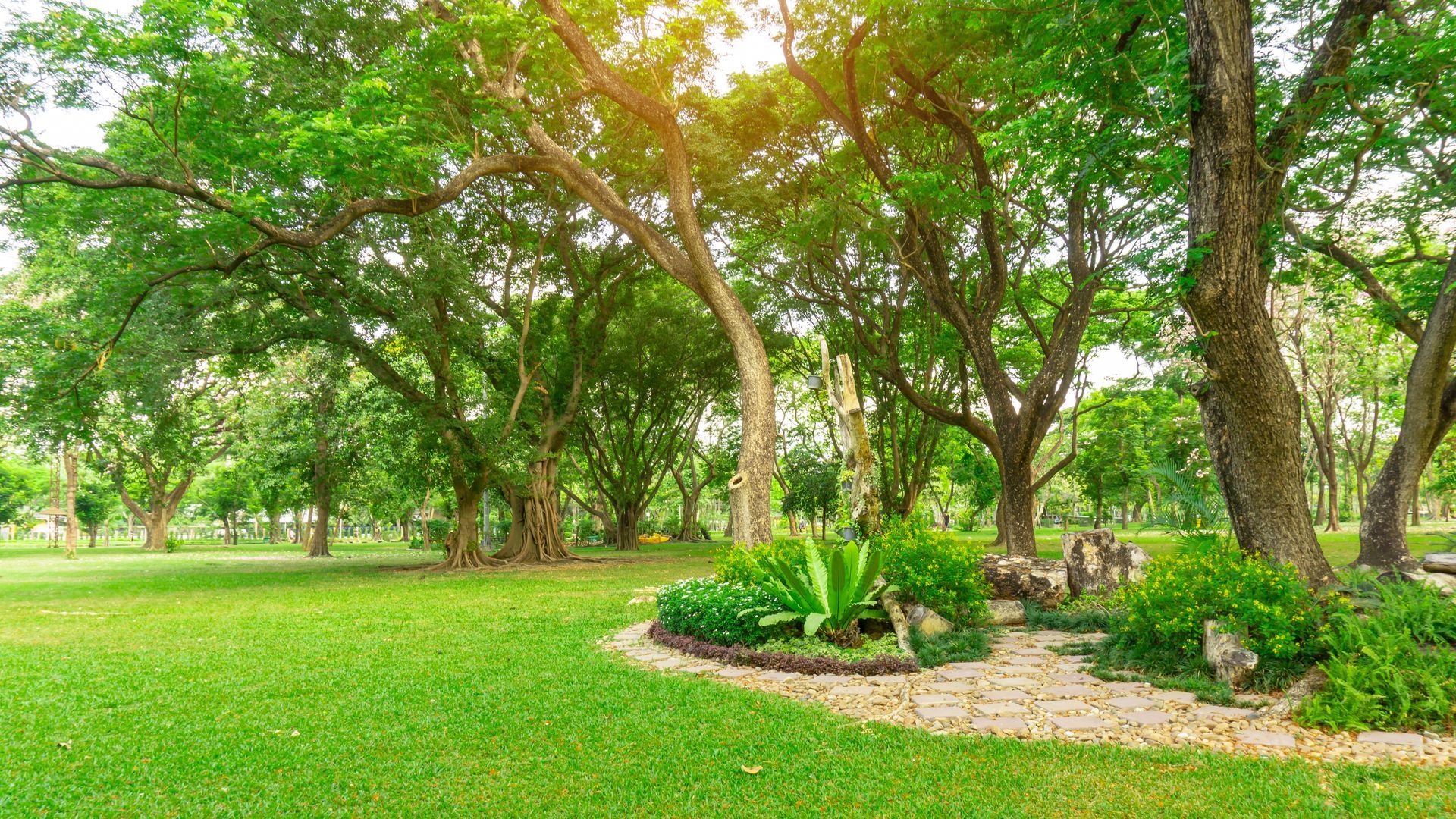 Lush green park with large trees, grass, and a landscaped plant bed under dappled sunlight Lush green park with large trees, grass, and a landscaped plant bed under dappled sunlight