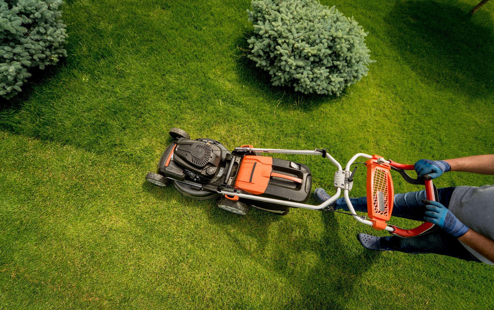 Person mowing a green lawn with a push mower and orange trimmer attachment from above Person mowing a green lawn with a push mower and orange trimmer attachment from above