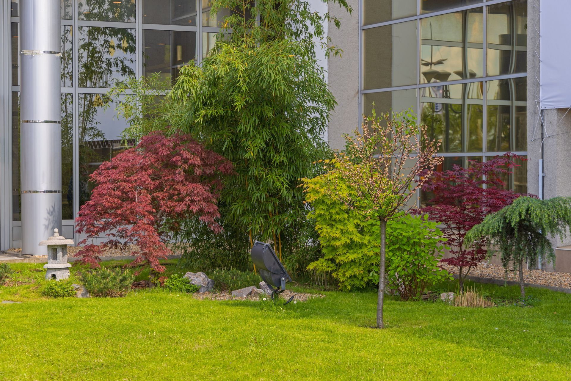 Landscaped garden with colorful shrubs and trees in front of a building with large windows Landscaped garden with colorful shrubs and trees in front of a building with large windows