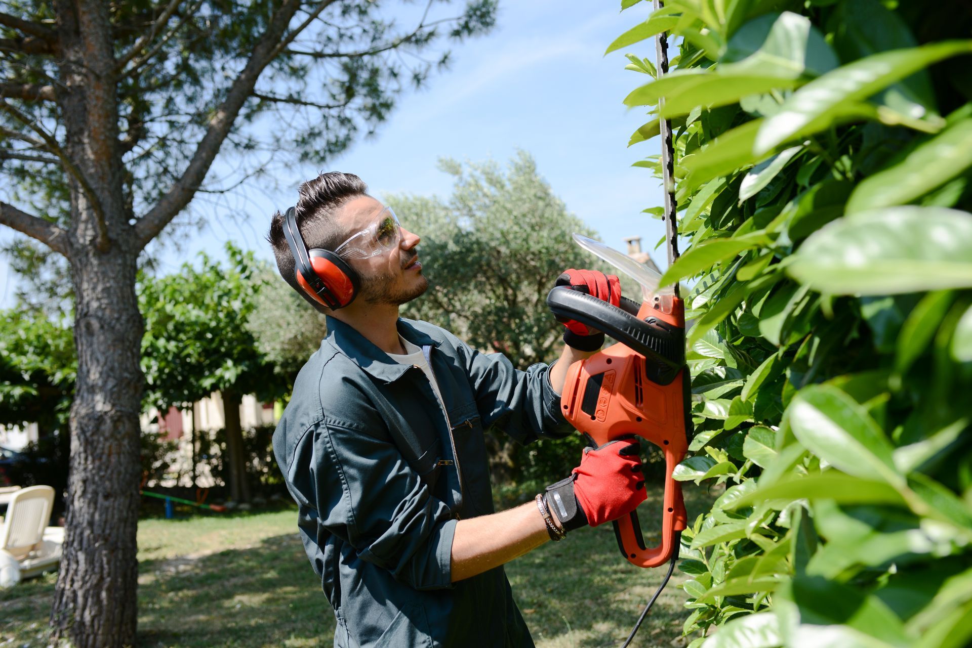 Fresh, well-kept landscape ready for a free estimate from Green Scene Lawn and Landscape