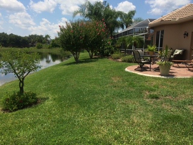 Backyard patio beside a pond, with green lawn, palm trees, and patio furniture under a bright sky