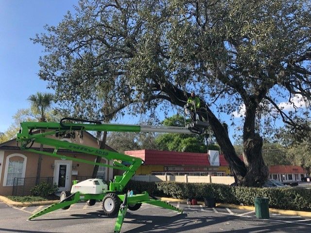 Green boom lift parked under a large tree beside a building on a sunny day