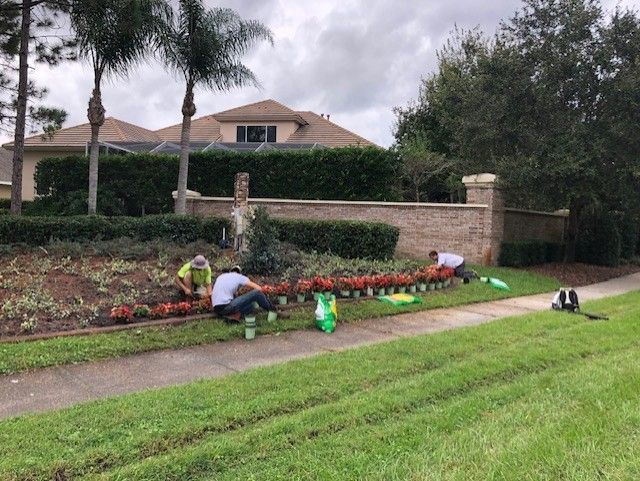 Workers planting flowers along a sidewalk beside a suburban lawn and stone wall