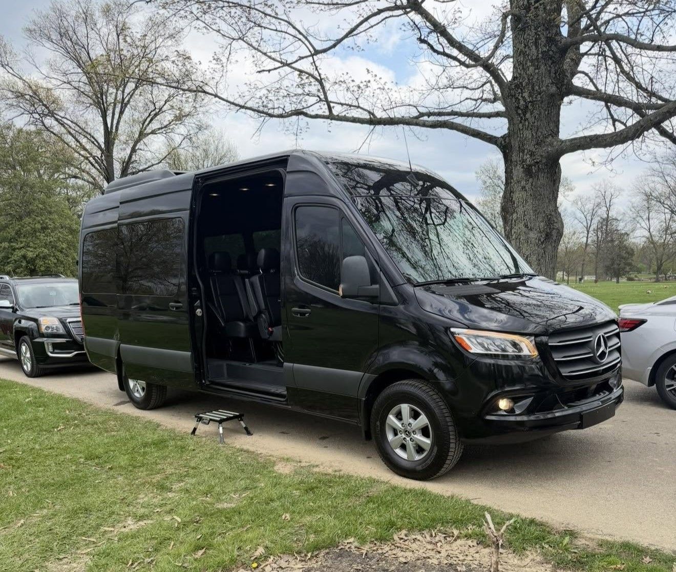 Black passenger van with side door open parked on a grassy roadside near trees and other cars.