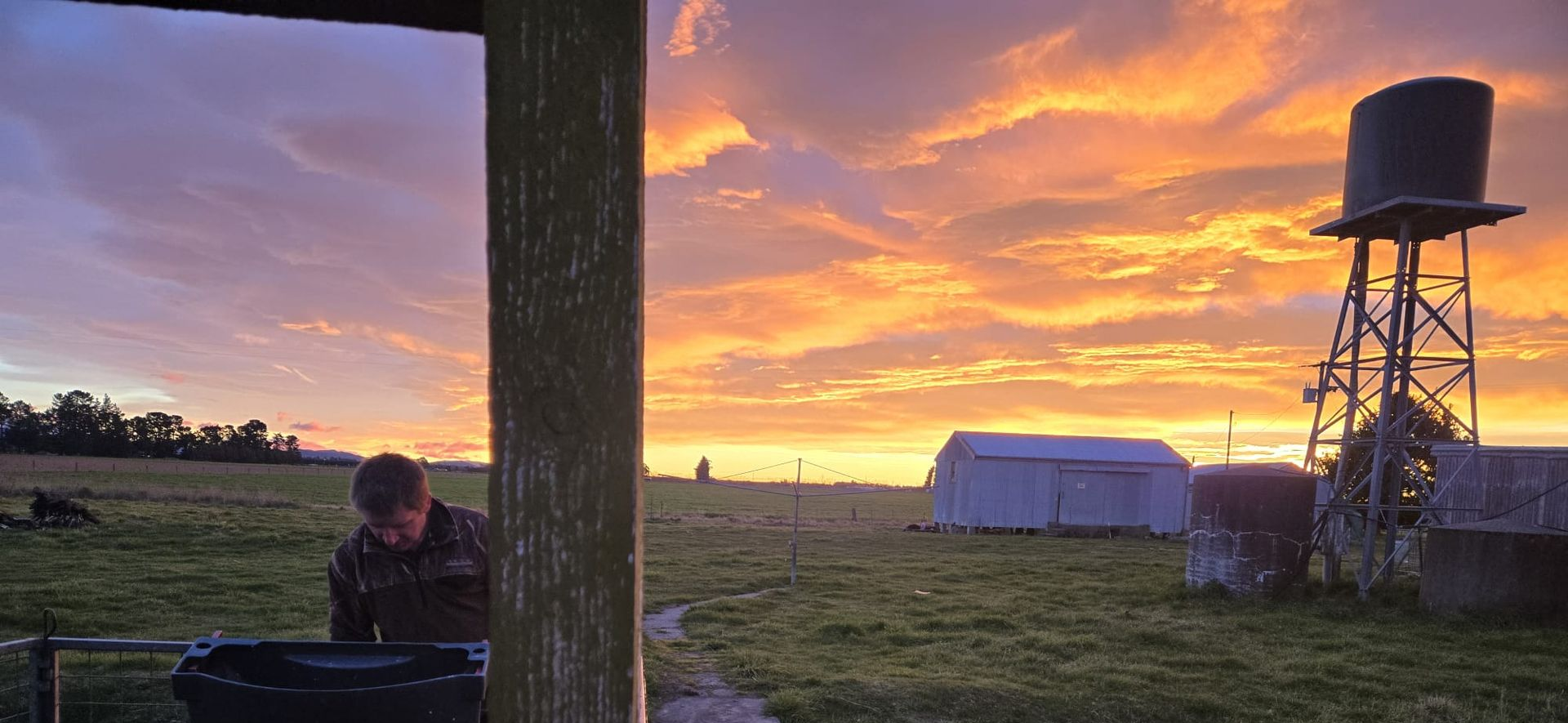 Spring mornings in Mid Canterbury