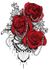Rose Le Follie di Emanuela