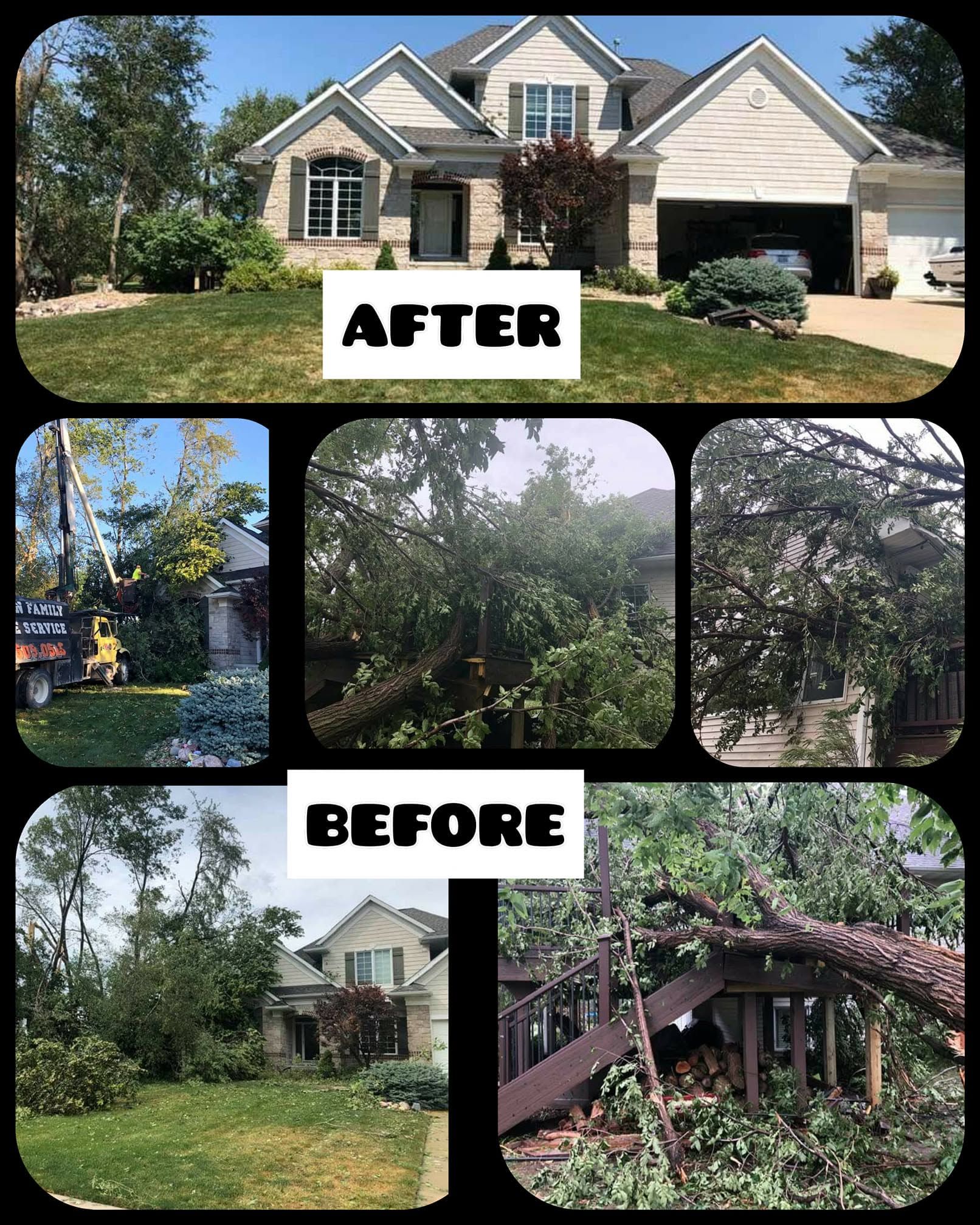 Before-and-after collage of a home yard: overgrown trees and a damaged arbor replaced by a neat, trimmed landscape.