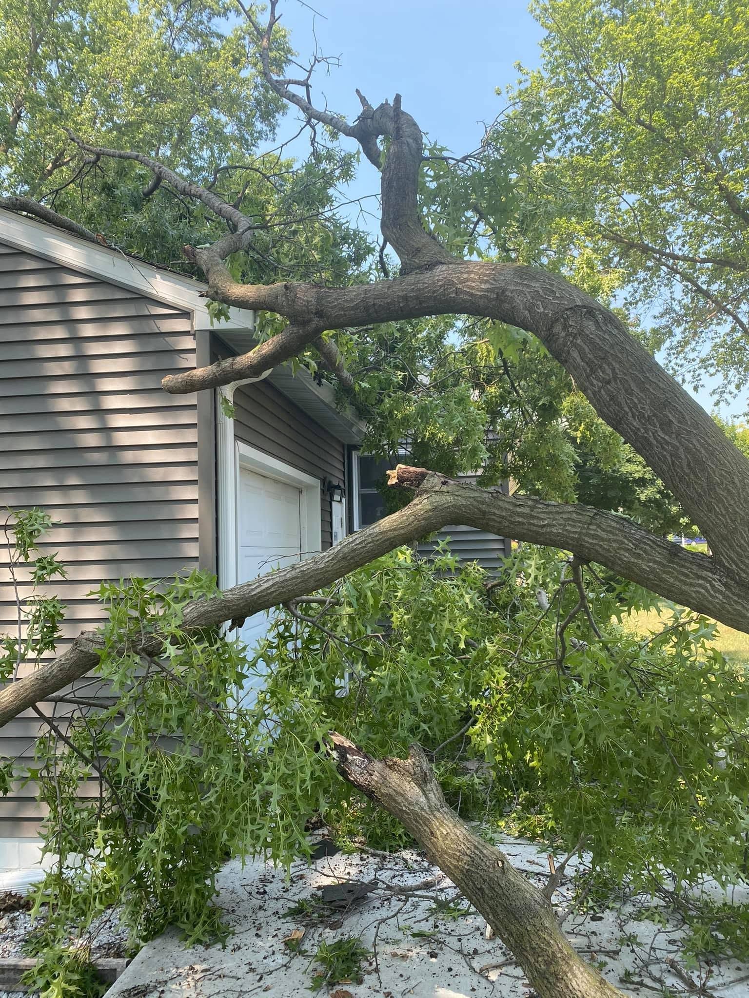 Fallen tree limb resting on a house roof amid green yard and trees