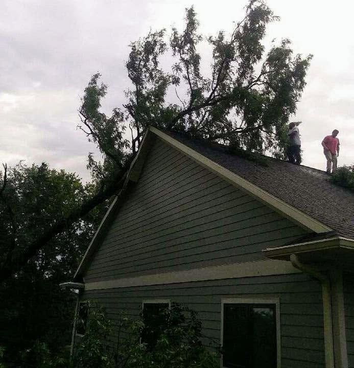 Person standing on a roof beside a large fallen tree behind a gray house