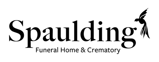 logo-image