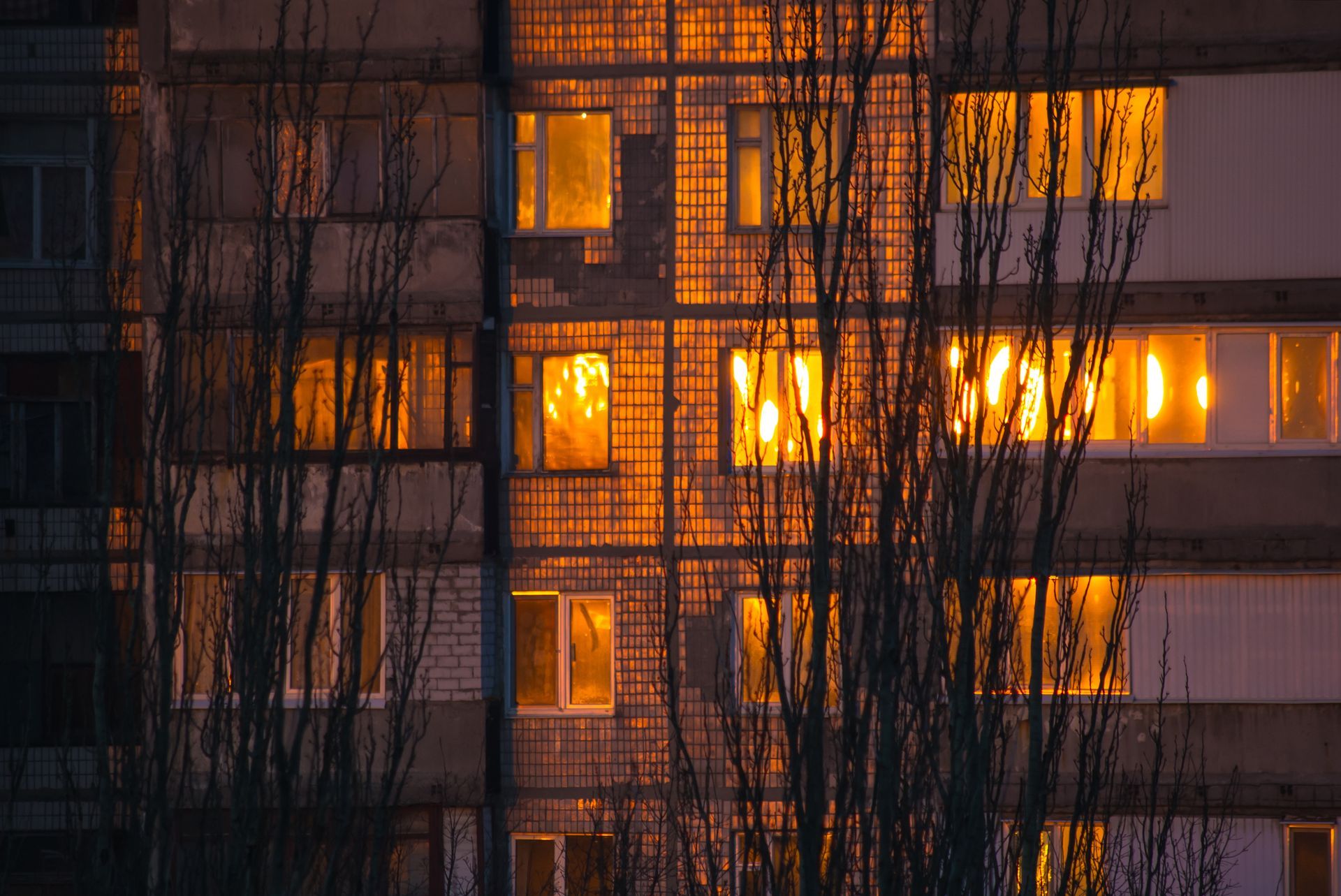Building facade with lit windows reflecting golden light, framed by silhouetted tree branches.