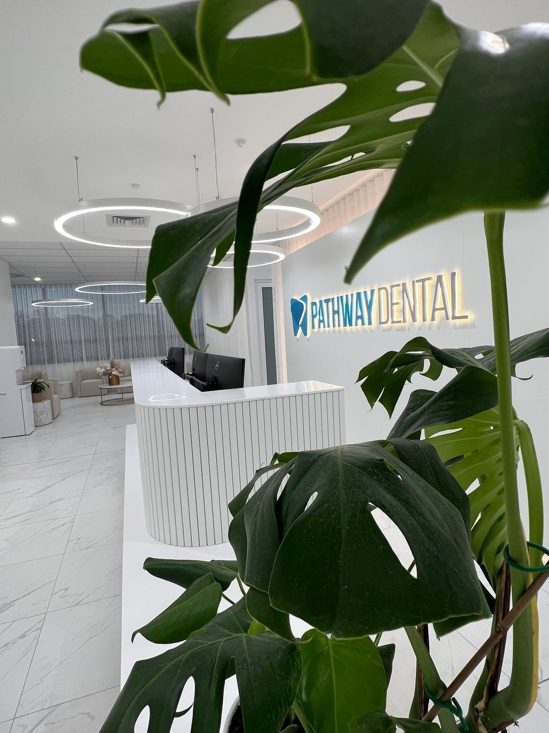 A plant in front of a pathway dental sign