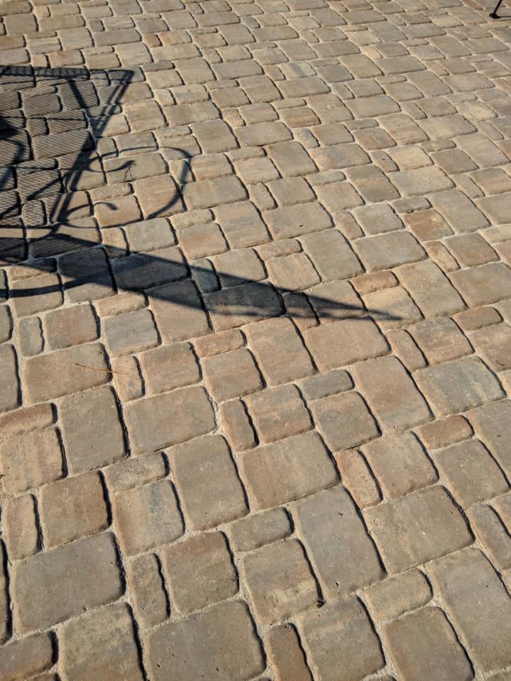 Paved patio with tan and brown square bricks; shadow of chair visible.