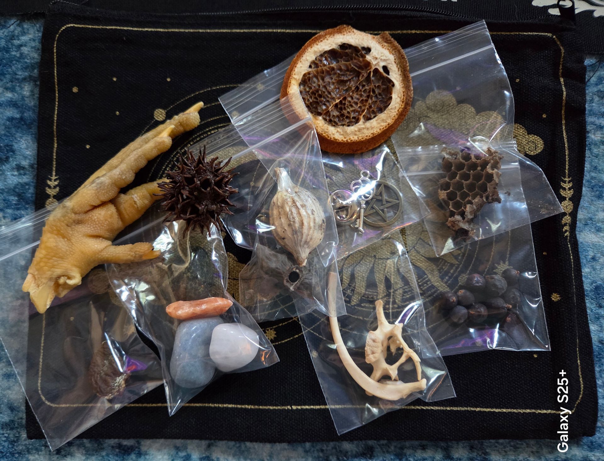 Hekate's Crossroads Bone Casting Oracle Kit