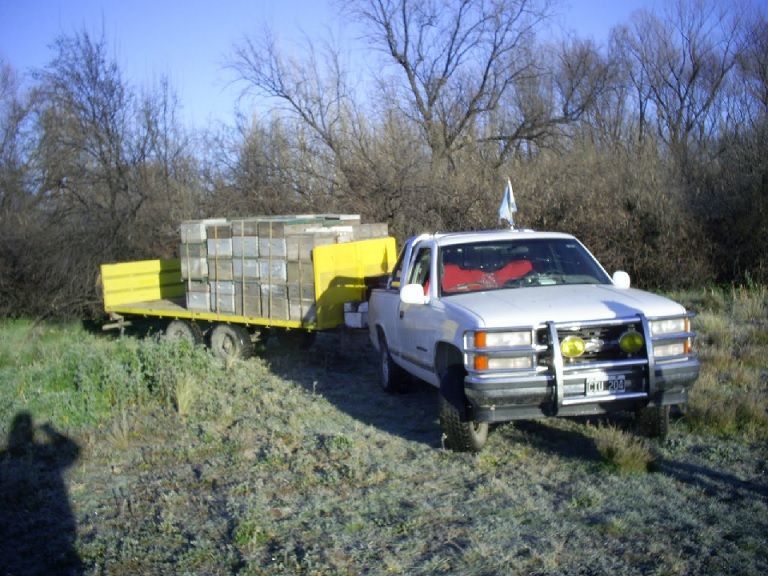 apiari, apiario, rusco horizontal, colmena horizontal, medidas, mesures, miel, abejas, mel, abellas, aga, apicultura, instalació, instalación, colmenar, aga, apicultors, apicultores, Girona, arnas