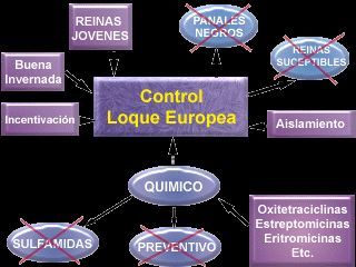 enfermetats, enfermedades, abejas, apicultura, abelles, miel, abejas, mel, apicultura, aga, apicultors, apicultores,