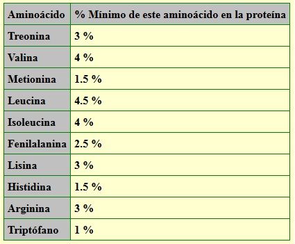 aliment, alimento,  enfermetats, enfermedades, abejas, apicultura, abelles, aga, miel, abejas, mel, abellas, apicultura, aga, apicultors, apicultores,  polen, pol·len