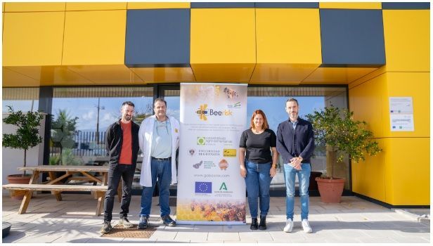 Una “PCR” per a abelles: investigadors treballen en un sistema per a la detecció ràpida de malalties als ruscs