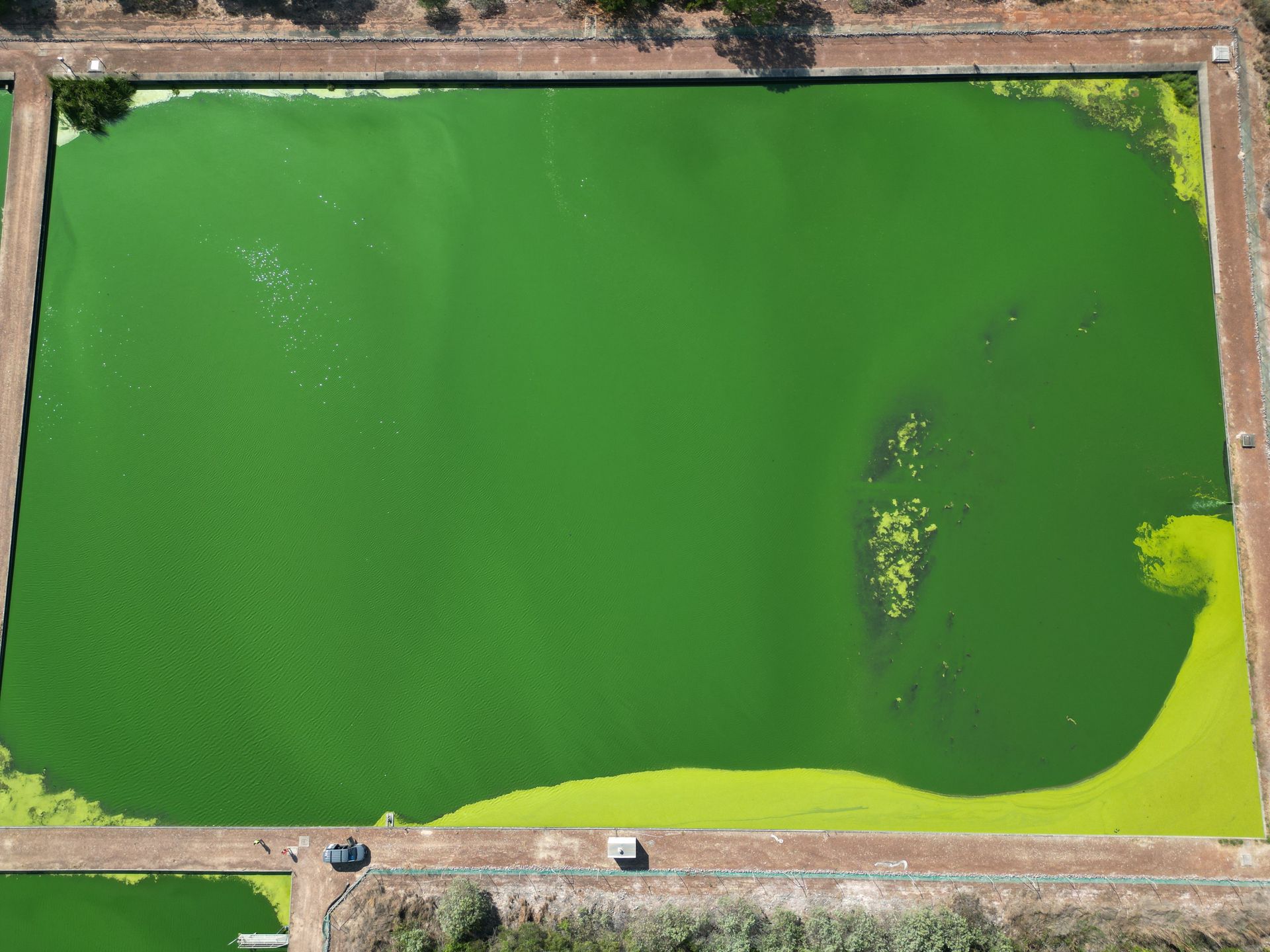 An aerial view of a remote NT waste stablisation pond filled with green algae.